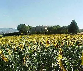 Casalfarneto