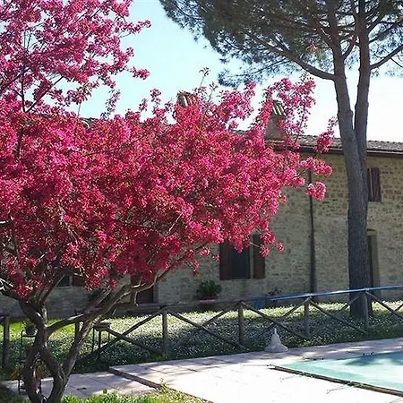 Casalfarneto Assisi